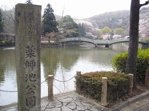 町田市野津田町の土地(薬師池公園)