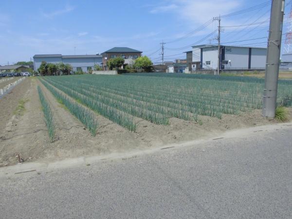 さいたま市岩槻区大字大口の売土地