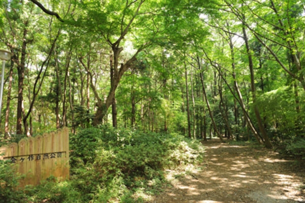 松戸市金ケ作の新築一戸建(金ケ作自然公園)