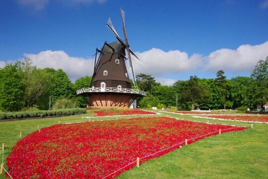 船橋市金堀町の土地(ふなばしアンデルセン公園)