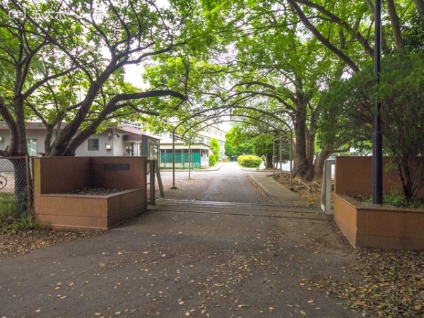 柏市藤心1丁目の土地(柏市立藤心小学校)