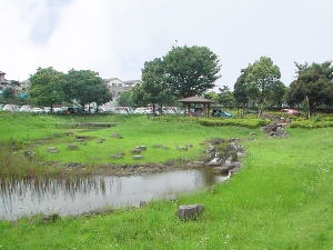 リーベスト松戸(柿ノ木台公園)