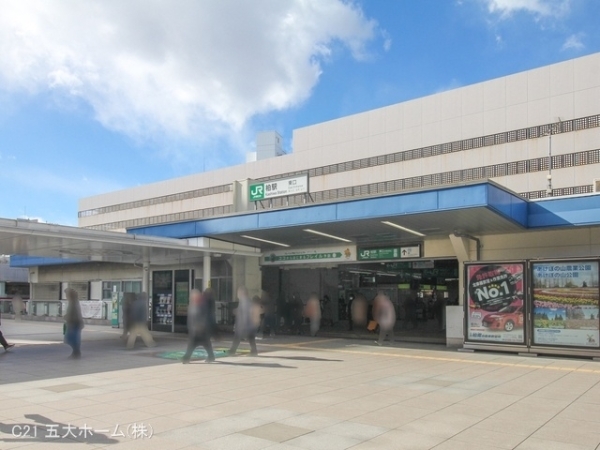 コトハウス柏C棟(柏駅(JR 常磐線))