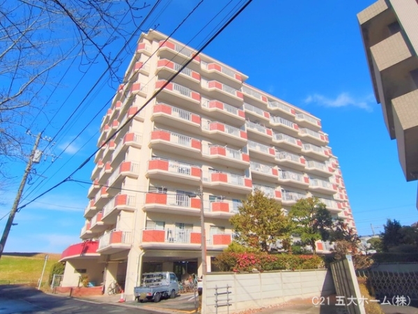 市川江戸川堤マンション