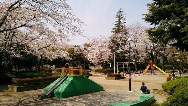 柏市柏の新築一戸建(柏公園)