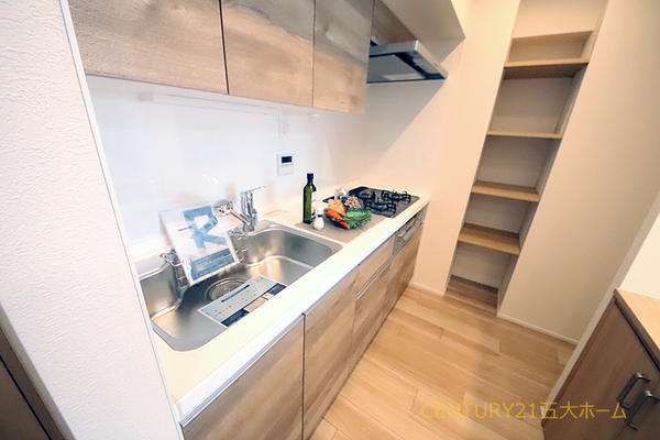 第二松戸グリーンハイツ(キッチン)