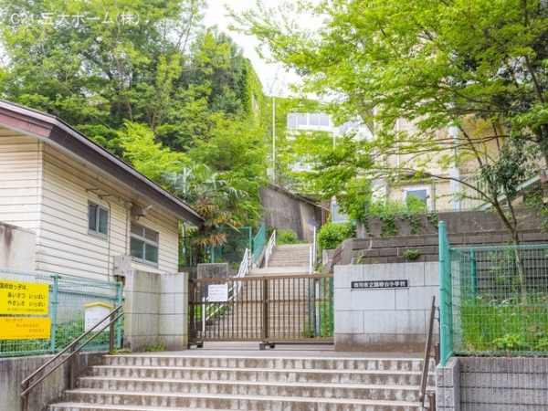 市川市北国分2丁目の土地(市川市立国府台小学校)