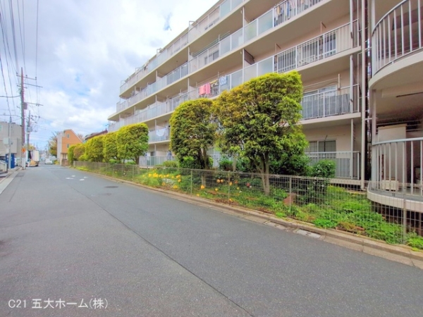 ソフトタウン亀有
