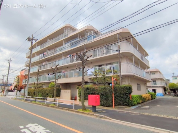 ソフトタウン亀有