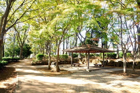 柏市ひばりが丘の新築一戸建(永楽台近隣公園)