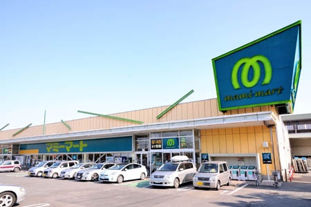 メイツ柏(マミーマートあけぼの店)