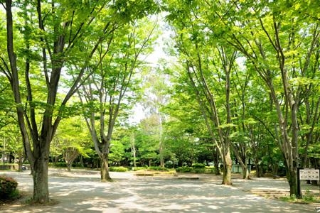 小金原第7コーポラス(小金原公園)