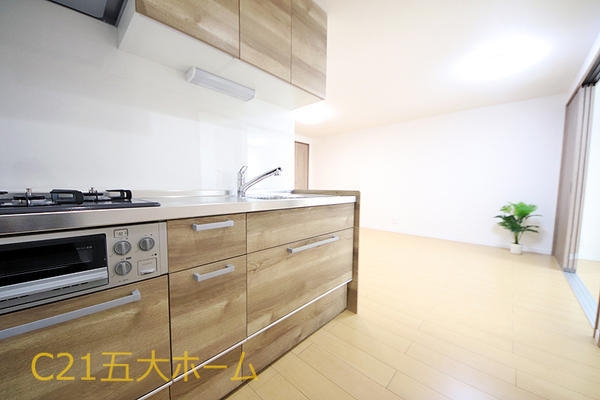 小金原第7コーポラス(キッチン)