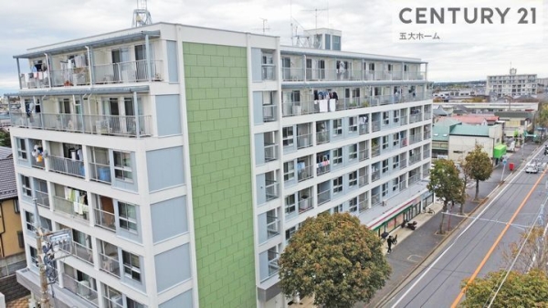 小金原第7コーポラス(その他現地)