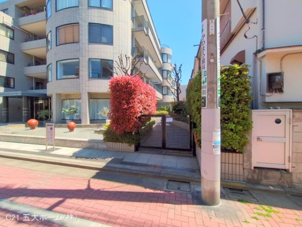 モアアペックス西小岩