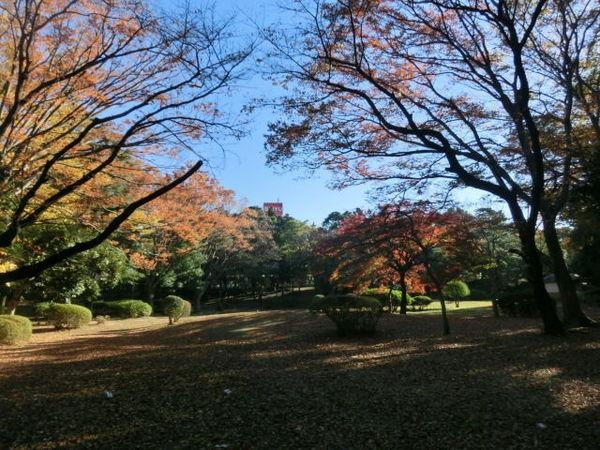 松戸市常盤平双葉町の土地(しょうぶ公園)