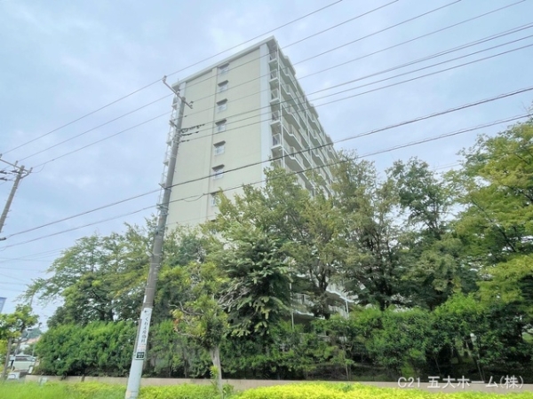 市川パークハイツC棟