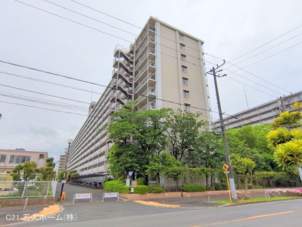 市川パークハイツC棟