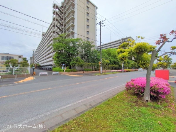 市川パークハイツC棟