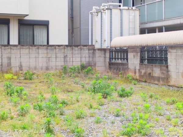 松戸市二十世紀が丘柿の木町の土地