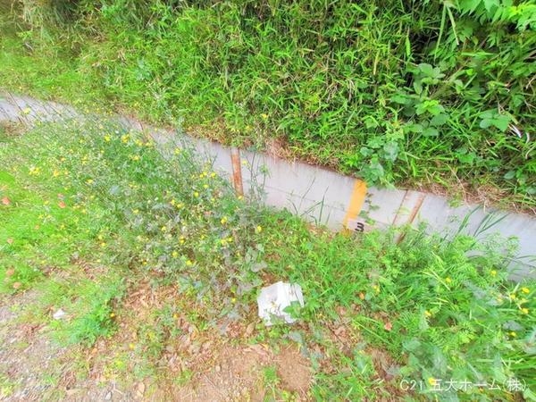 我孫子市青山の土地