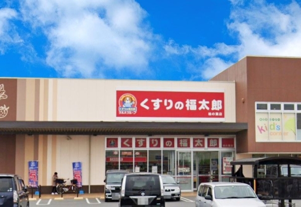柏市十余二の中古一戸建て(くすりの福太郎柏の葉店)