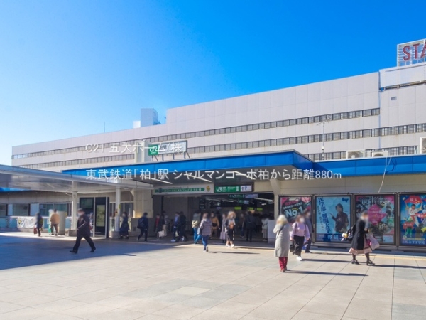 シャルマンコーポ柏(東武鉄道「柏」駅)