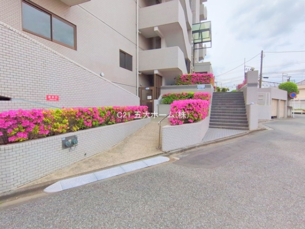 シャルマンコーポ柏
