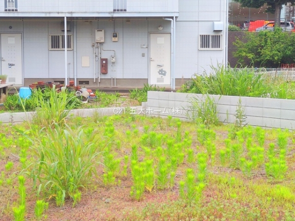 松戸市松戸新田の土地