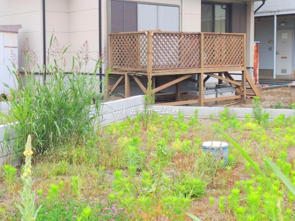 松戸市松戸新田の土地