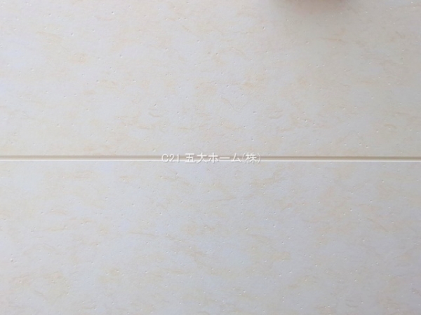 葛飾区お花茶屋２丁目の新築一戸建