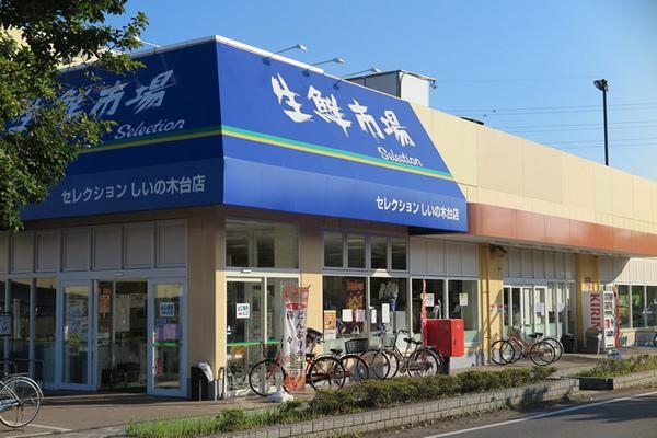 柏市南逆井6丁目の新築一戸建(FOODS MARKET Selectionしいの木台店)