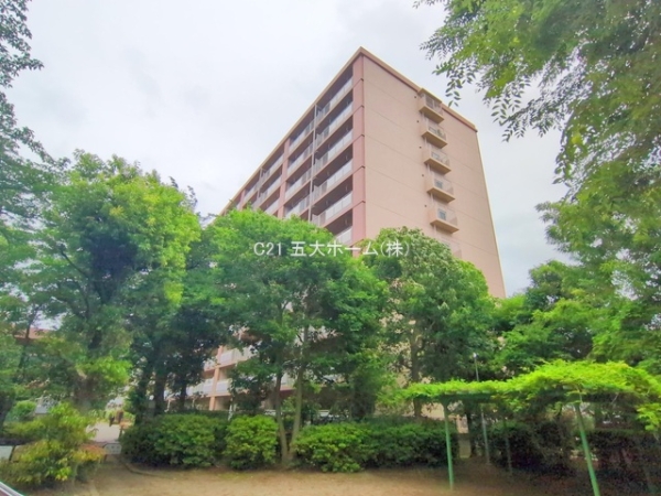 市川パークハウスA棟