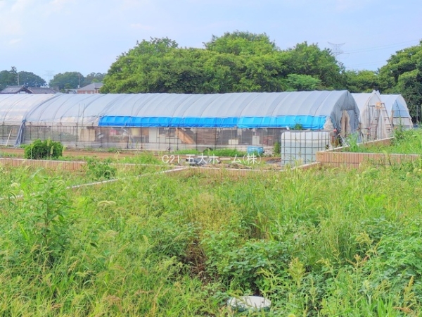 柏市大室の土地