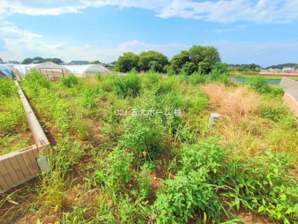 柏市大室の売土地