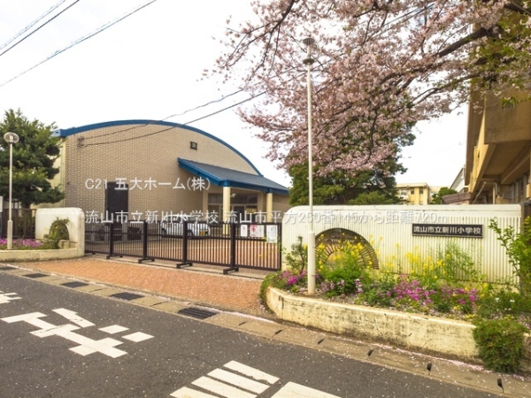 流山市大字平方の新築一戸建(流山市立新川小学校)