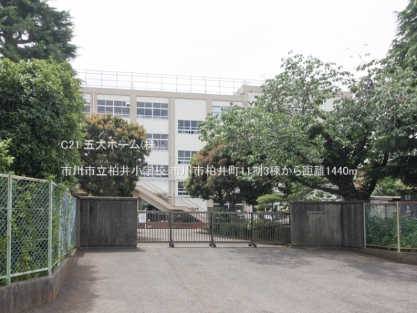 市川市柏井町３丁目の土地(市川市立柏井小学校)
