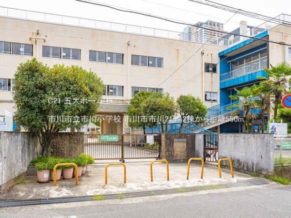 市川市市川2丁目の新築一戸建(市川市立市川小学校)