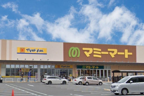 ダイアパレス松戸二十世紀が丘(マツモトキヨシマミーマート松戸新田店)