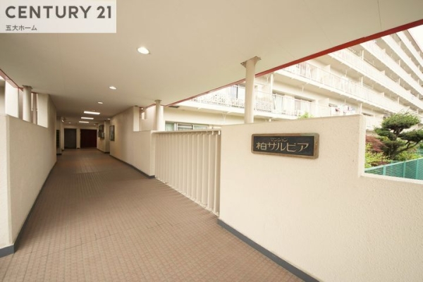 マンション柏サルビア