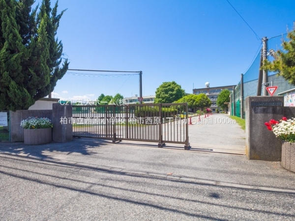 柏市西原1丁目の土地(柏市立西原小学校)