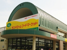 柏市塚崎の土地(ランドロームフードマーケット大津ヶ丘店)