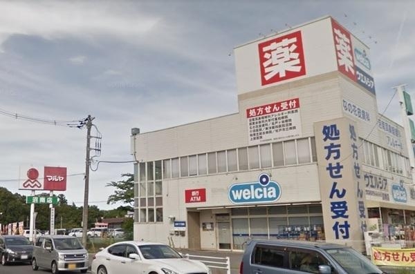 柏市塚崎の土地(ウエルシア沼南店)