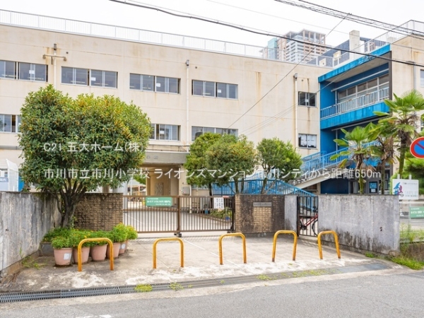 ライオンズマンション市川シティ(市川市立市川小学校)