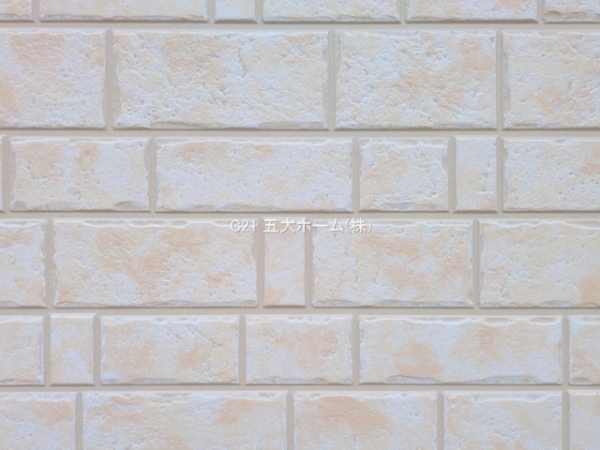 市川市新井1丁目の新築一戸建(その他現地)