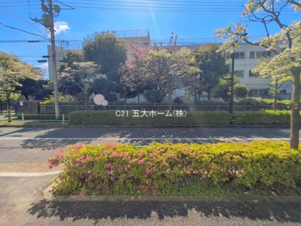 葛飾区柴又３丁目の新築一戸建