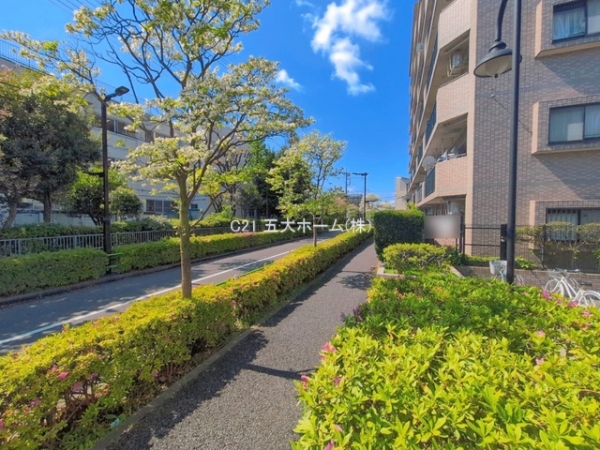 葛飾区柴又３丁目の新築一戸建