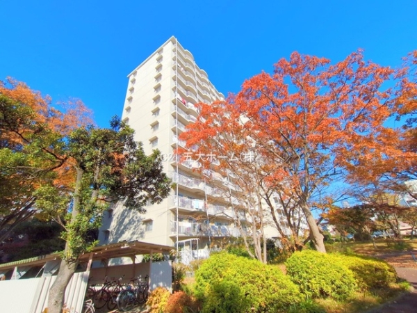 サンライトパストラル壱番街A棟(その他現地)