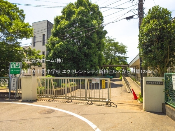 柏市加賀2丁目の新築一戸建(柏市立中原小学校)
