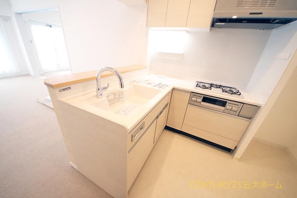 サンライトパストラル五番街A棟(キッチン)